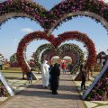ALIM2046