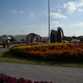 ALIM2051