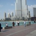 ALIM2072
