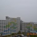 DSC_0075