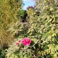 IMG_20220506_171500