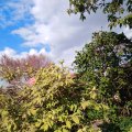 IMG_20220506_171557