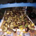 IMG_20221008_213350