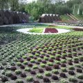 PIC_0086