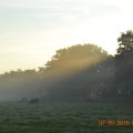 DSC_0196