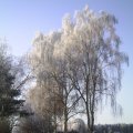 PIC_0059