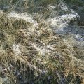 PIC_0060