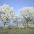 PIC_0067