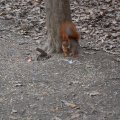 DSC_5368_20150221_125