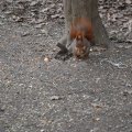 DSC_5371_20150221_128