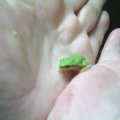 PIC_0005