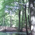 PIC_0019
