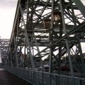 PIC_0089
