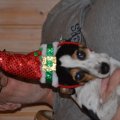 DSC_0024