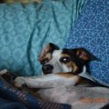 DSC_0132