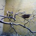 PIC_0026