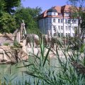 PIC_0029
