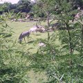 PIC_0035