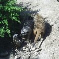 PIC_0040