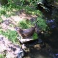 PIC_0050