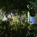DSC_0191