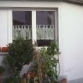 pic-159