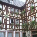 pic-19