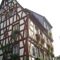 pic-20