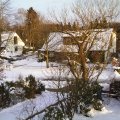 PIC_0049