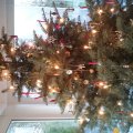 GrÃ¼ners Weihnachtbaum 2017