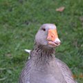 DSC_3616