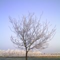 PIC_0062