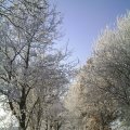 PIC_0065