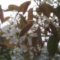 PIC_0026
