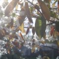 PIC_0031