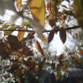 PIC_0035