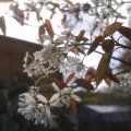 PIC_0047