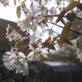 PIC_0048