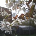 PIC_0049