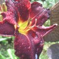 PIC_0058