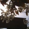 PIC_0061