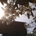 PIC_0065