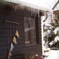 pic_0066
