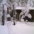 pic_0074