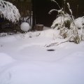pic_0075