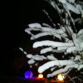 pic_0078