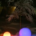 pic_0079