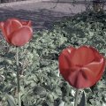 May03_05