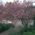 May06_03