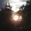 PIC_0041